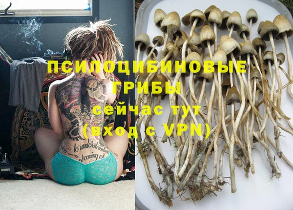 MDMA Кулебаки