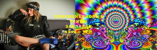 ГАЛЛЮЦИНОГЕННЫЕ ГРИБЫ Лабытнанги