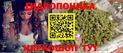 прущие крисы Абинск